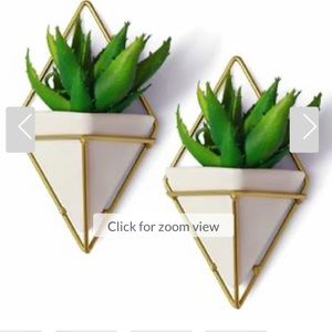 plant decor